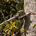 Hvordan opbevarer jeg min beskæresav korrekt, når den ikke er i brug?